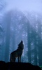 Wolves Live Wallpaper screenshot 4