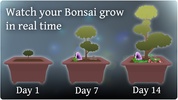 Pocket Bonsai screenshot 4