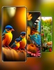 Realme 11 Pro Plus Wallpaper screenshot 2