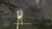 TDZ3: Dark Way of Stalker screenshot 3