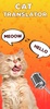 Cat Translator Simulator App screenshot 5