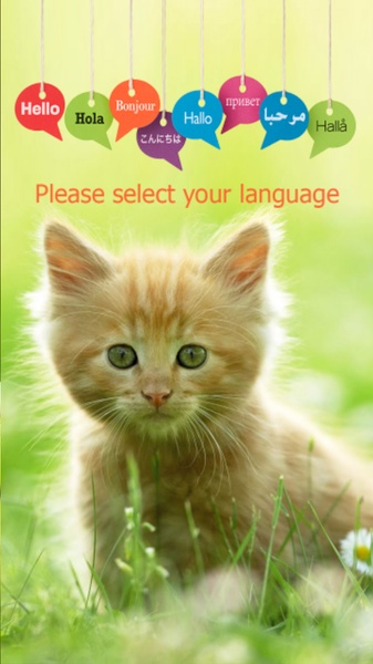 Translate for Dogs - Preview 4