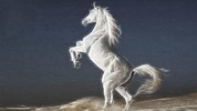 Horses Live Wallpaper - backgrounds hd screenshot 3