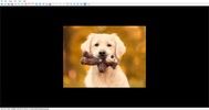 Easy Photo Studio FREE screenshot 3