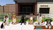 Animal Shelter: Pet Rescue Sim screenshot 1