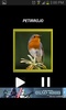 Pajaros cantores screenshot 4