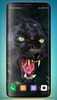 Black Panther Wallpaper HD screenshot 14