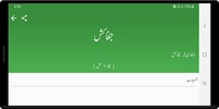 Urdu Lughat screenshot 4