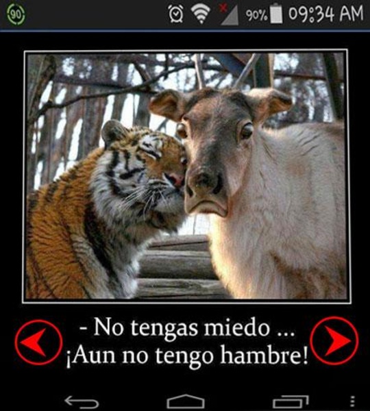 imagenes de todo - Preview 3