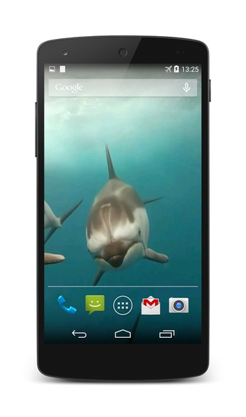 Dolphins Live Wallpaper - Preview 4