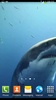 White Shark Video Wallpapers screenshot 2