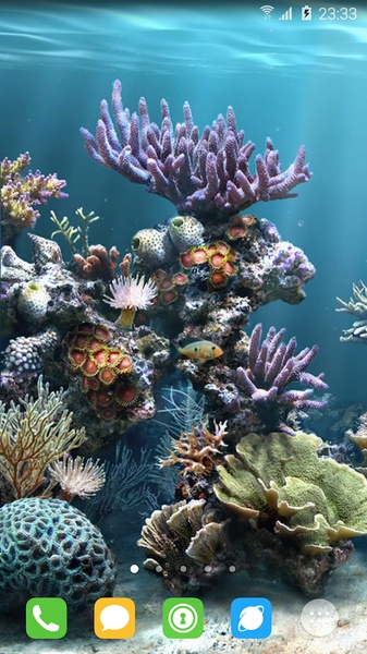 aquarium - Preview 11