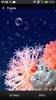 Coral Reef Live Wallpaper screenshot 7