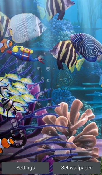 The real aquarium - HD - Preview 11