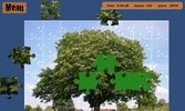 Puzzle XL screenshot 3