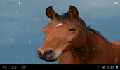 Horses in winter screenshot 5