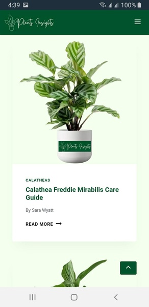Plants Insights - Preview 3