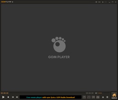 GOM Player screenshot 2