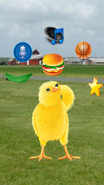 Talking Chicken Deluxe - Preview 6