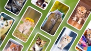 Cat Wallpapers & Cute Kittens screenshot 6