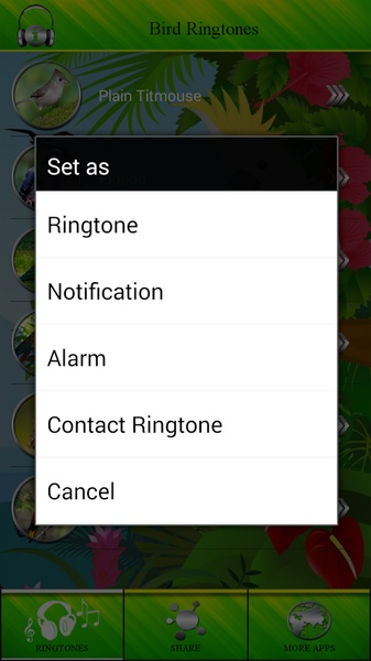 Bird Ringtones - Preview 2