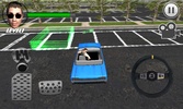 Crazy Parking Car King 3D screenshot 7