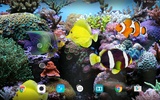 Coral Fish 3D Live Wallpaper screenshot 3