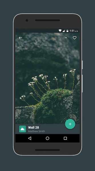 Revolution Walls - Preview 3