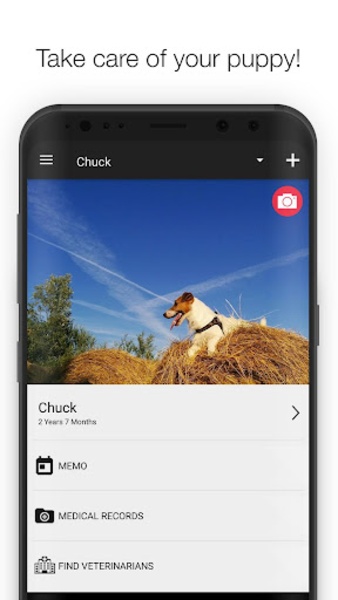 Dog Health - Preview 6