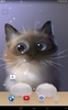Peper Kitten screenshot 1