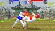 Taekwondo Fighting screenshot 7