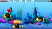 Frenzy Piranha Fish World Game screenshot 6