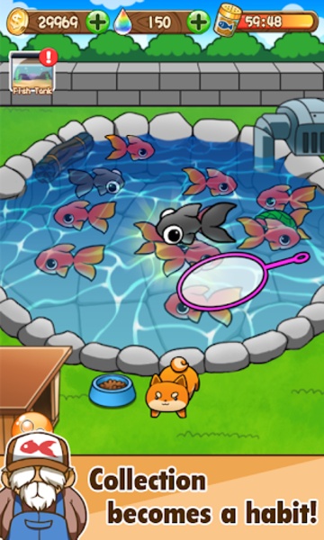 Goldfish Collection - Preview 5