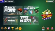 RVG Cricket Lite screenshot 1