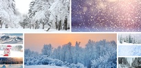Snow Wallpapers & Background screenshot 1