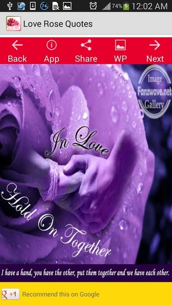 Love Rose Quotes - Preview 1