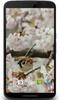 Sakura and Bird Live Wallpaper screenshot 5
