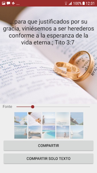 Santa Biblia Palabra Viva - Preview 4
