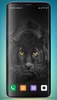 Black Panther Wallpaper HD screenshot 8