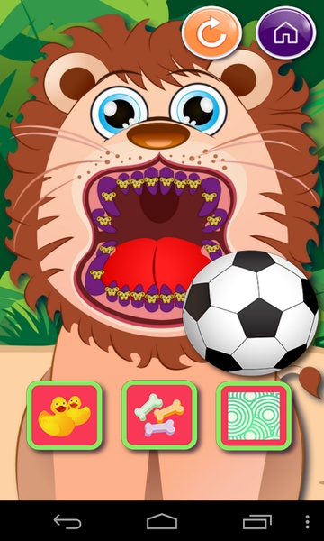 Animal Dentist Office - Preview 3