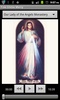 Free Divine Mercy screenshot 2