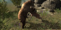 Real Bear Simulator screenshot 3