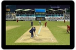 Cricket Top Games screenshot 2