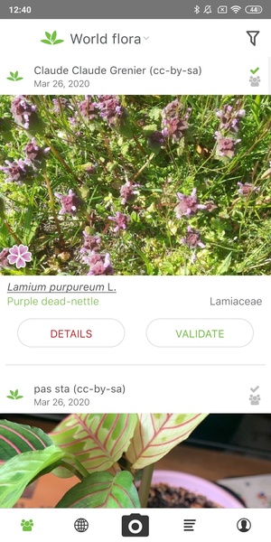 PlantNet Plant Identification - Preview 5
