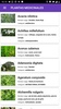 Medicinal plants screenshot 2