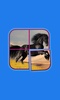 Horse Puzzle Games for Girls screenshot 4