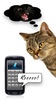 Human-to-Cat Translator screenshot 3