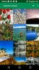 Image Search from Flickr screenshot 6