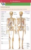 Anatomy & Physiology MIE NCLEX screenshot 13