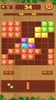 Block Puzzle screenshot 4